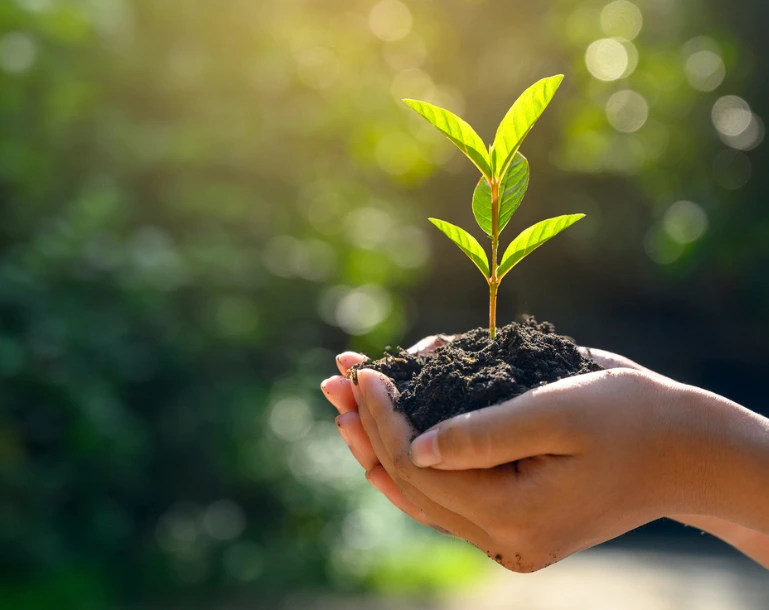 Untitled design (62)