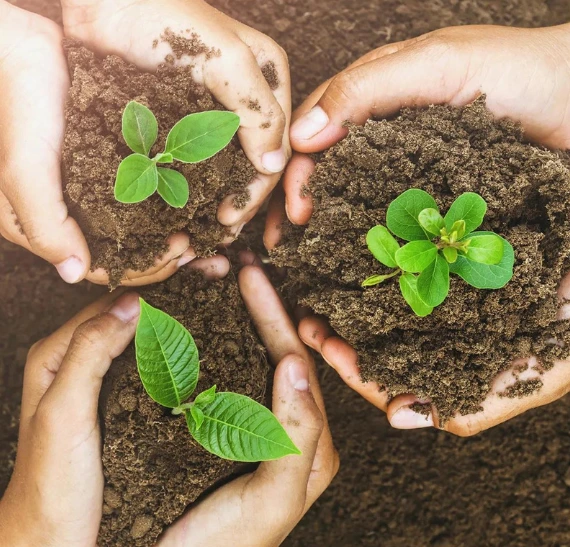 Untitled design (65)